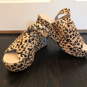 Amuse society wedges